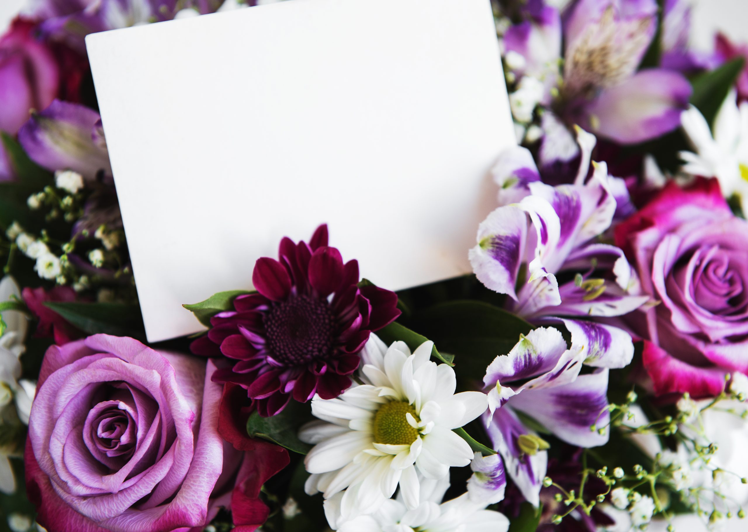 Floral arrangement with purple and white flowers surrounding a blank memorial card.
