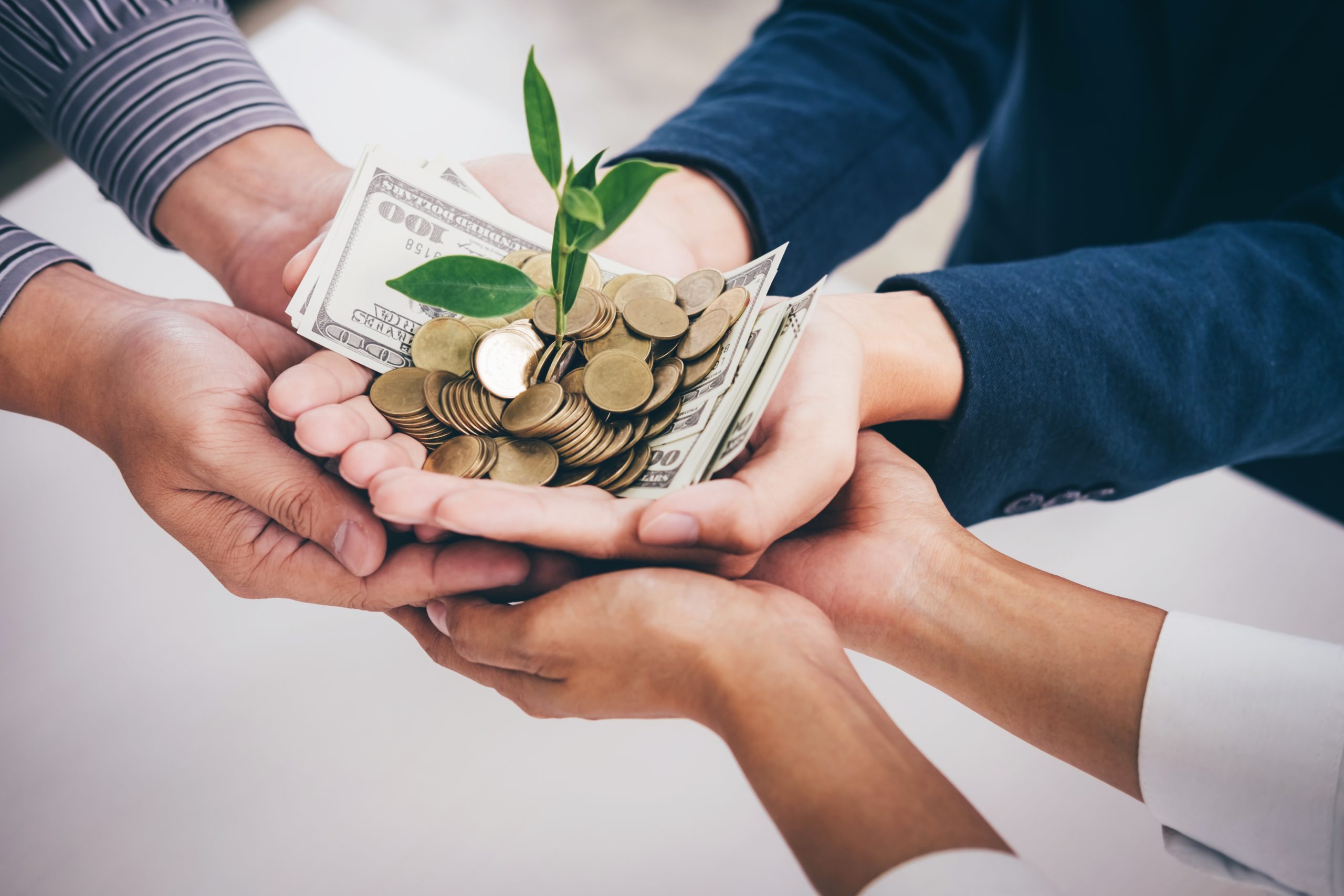 Hands holding cash, coins, and a young plant representing charitable giving, financial growth, and tax-smart philanthropy.